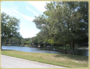 Lake view along Twelve Oaks Blvd