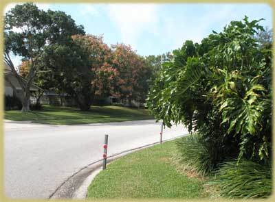 Twelve Oaks Blvd.